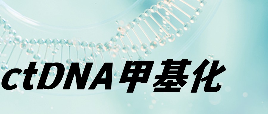 ctDNA甲基化