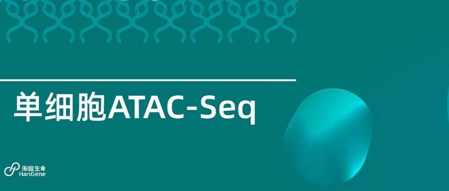 单细胞ATAC-seq